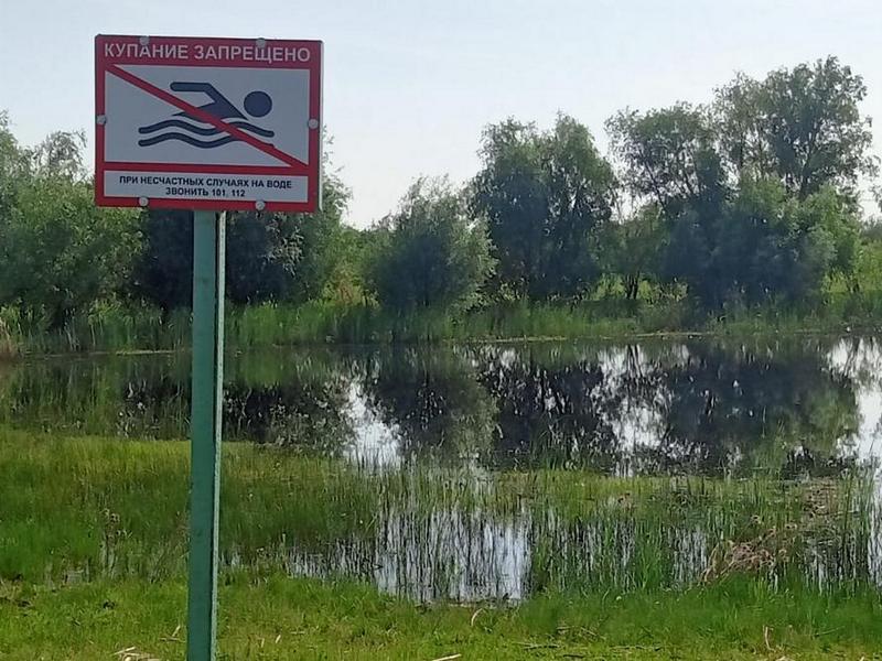 Уважаемые азовчане! Напоминаем, что купание граждан в водоемах, где оно запрещено, одна из основных причин гибели людей. В нашем районе не оборудованы официальные места для купания..