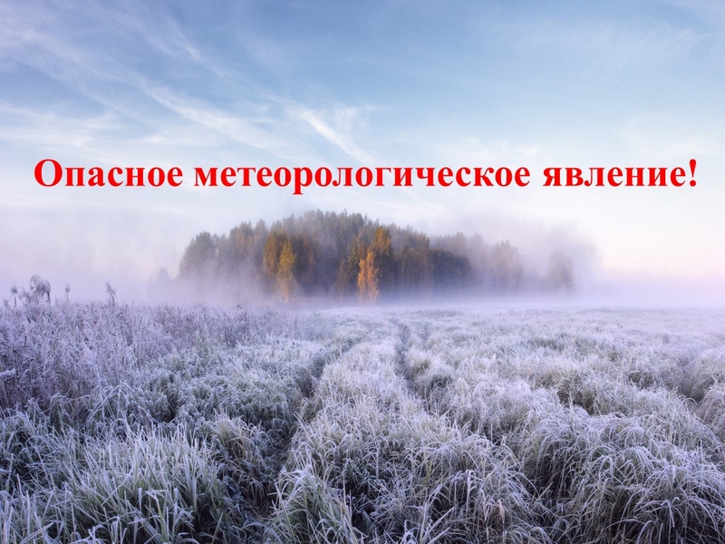 Предупреждение об опасном явлении погоды  Согласно штормовому предупреждению ФГБУ «Обь-Иртышское УГМС»   от 25.08.2023 года № 310/08-04-30/162.