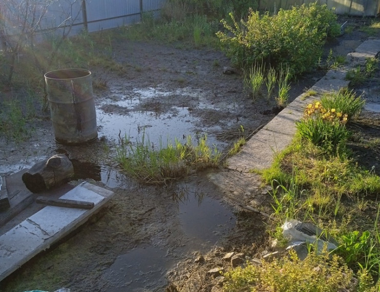 Восстановление затопленного участка. Восстановление затопленного участка.